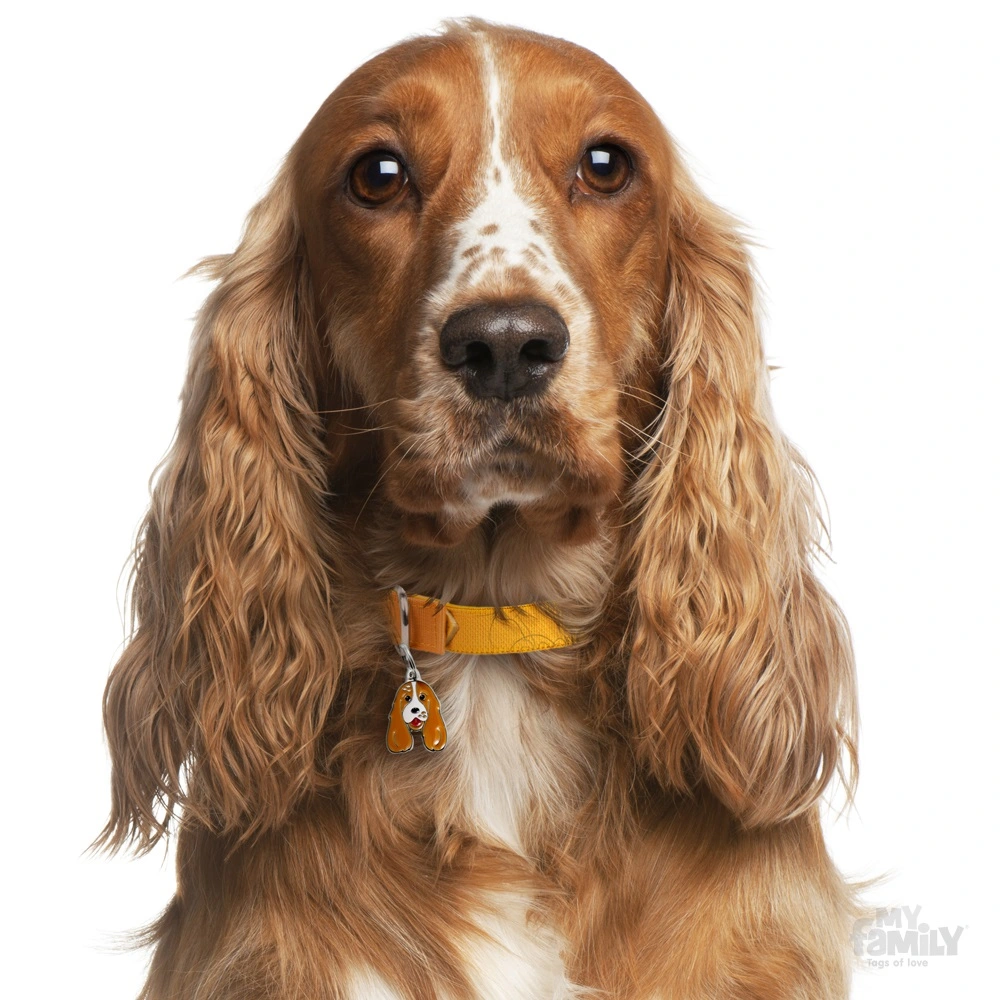 My Family Hundetegn Friends Cockerspaniel Brun hvid
