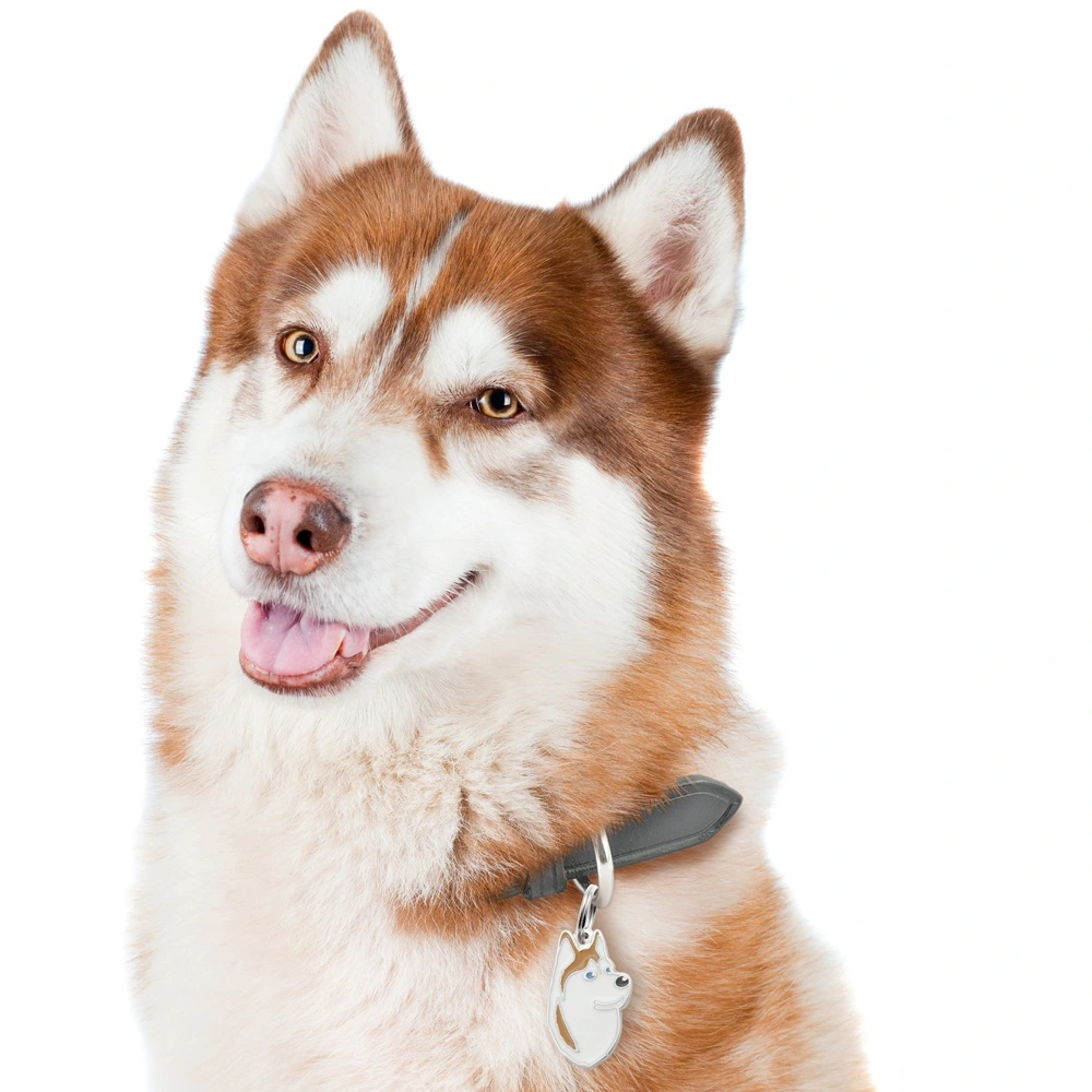 My Family Hundetegn Friends Siberian Husky Brun