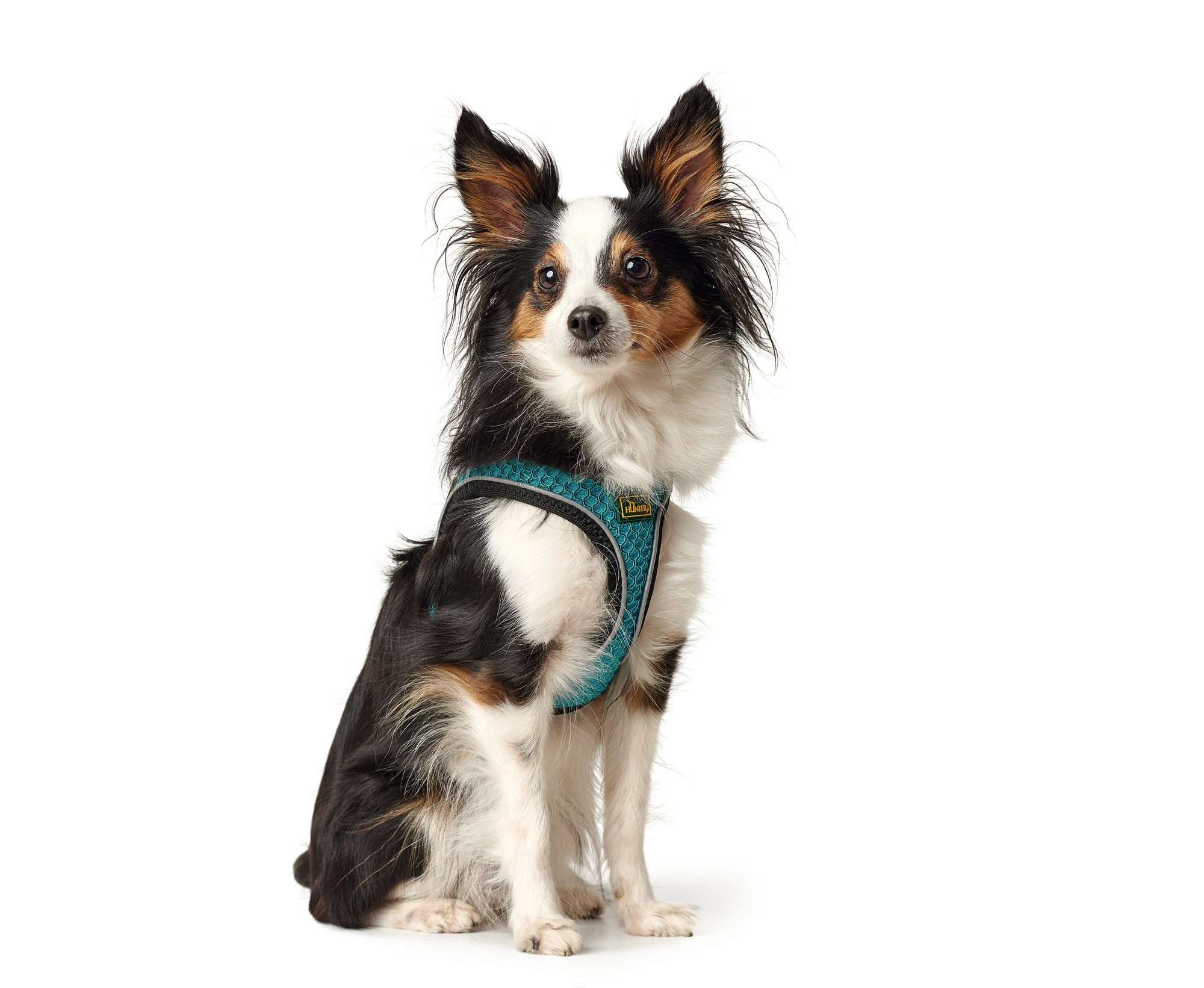 Hunter NY Hilo Comfort hundesele XXS-XS turkis mave/bryst 33-36 cm - Fleksibel let pasform til små hunde