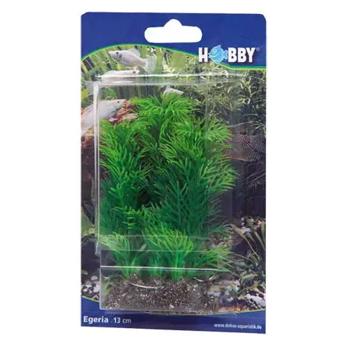 Hobby Egeria 13 cm