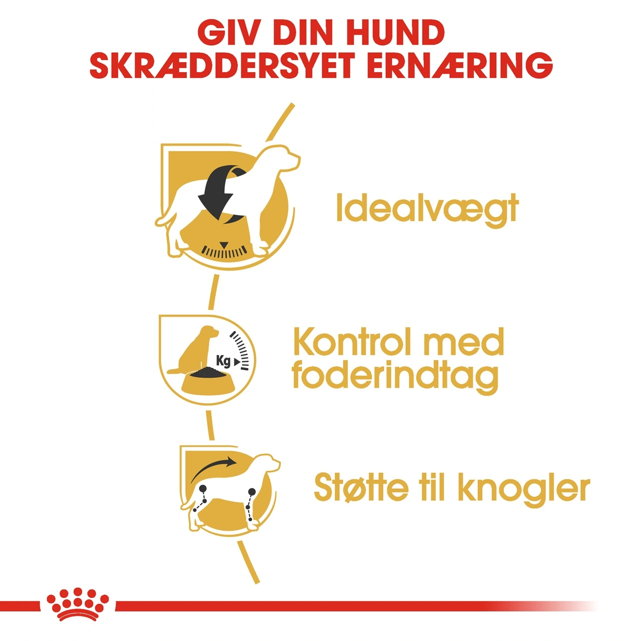 Royal Canin Beagle Adult 12 kg - tørfoder til voksne hunde