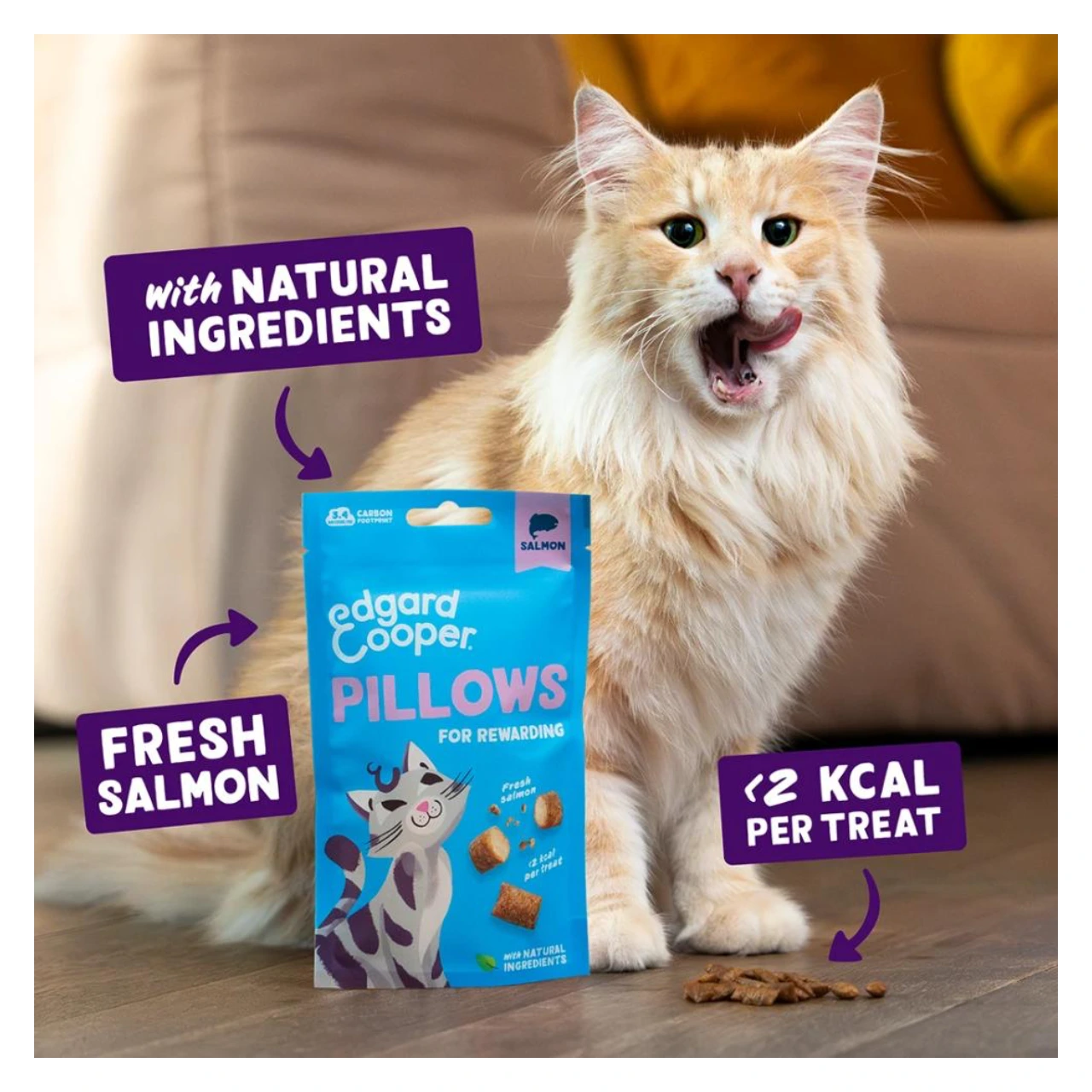 Edgard & Cooper Pillows kattegodbidder med laks 60 g