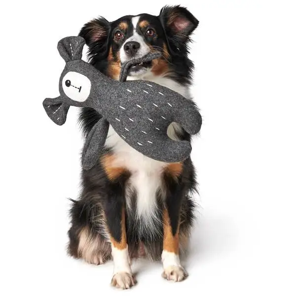 Hunter Tirana Bjørn M - bamse til mellemstore hunde