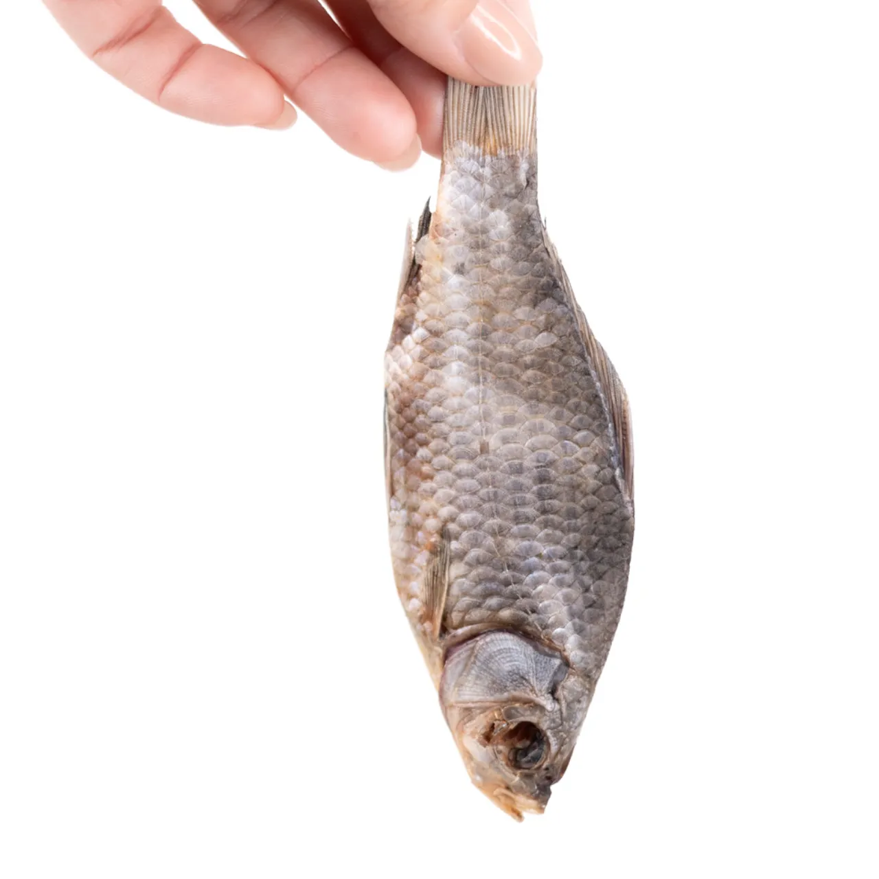 Snack it Karusse 200 g til hunde - sprød fiskenydelse og sund protein