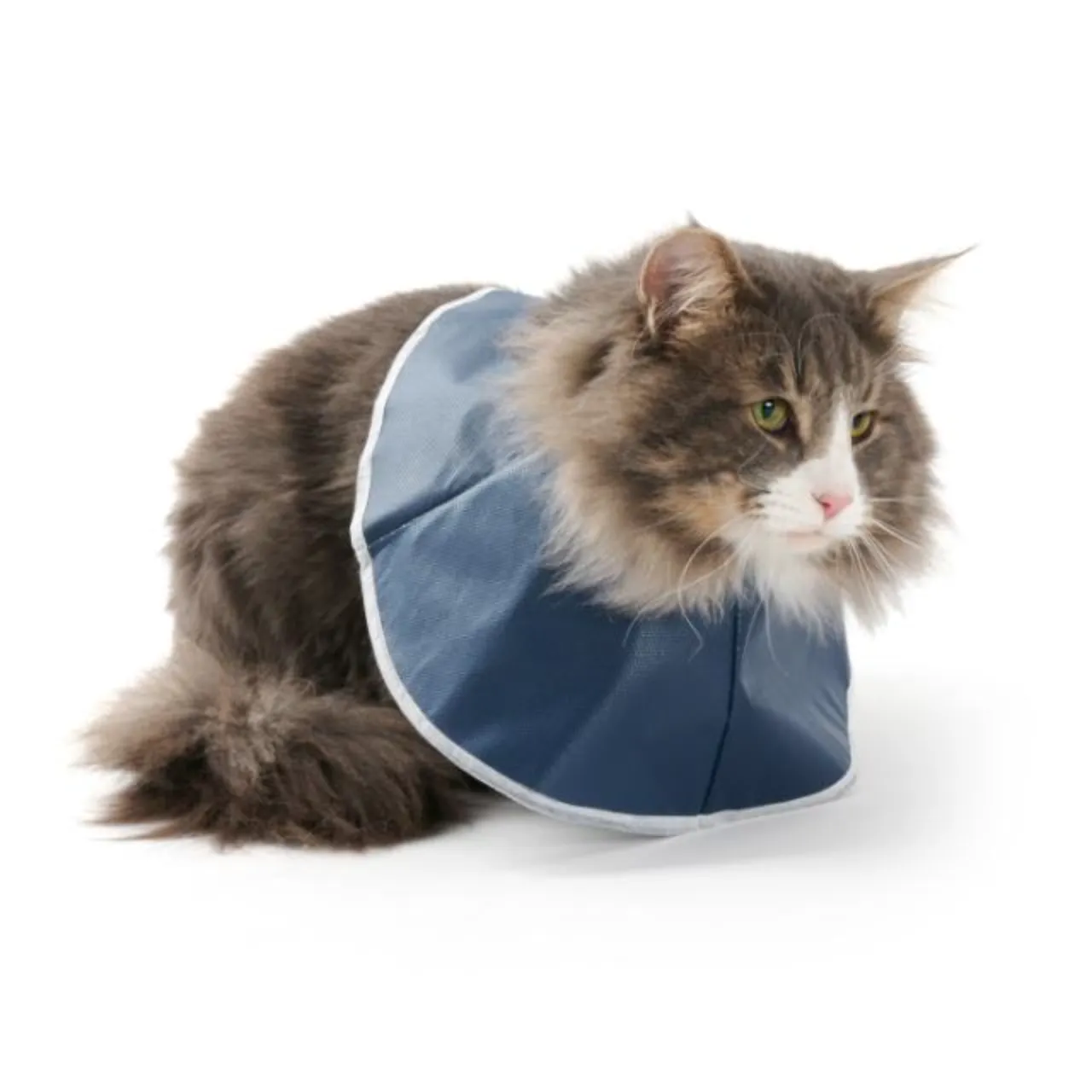 BUSTER stof halskrave 31 cm til katte og små hunde