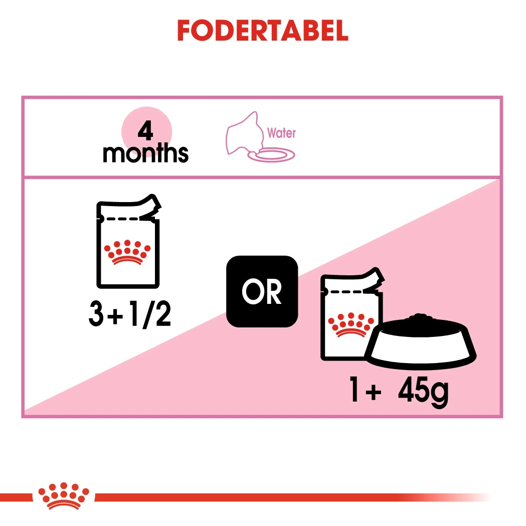 Royal Canin Kitten Jelly - vådfoder 85 g