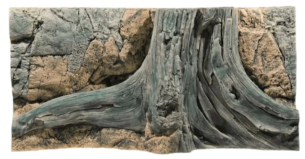 Back to Nature Amazonas 100 cm