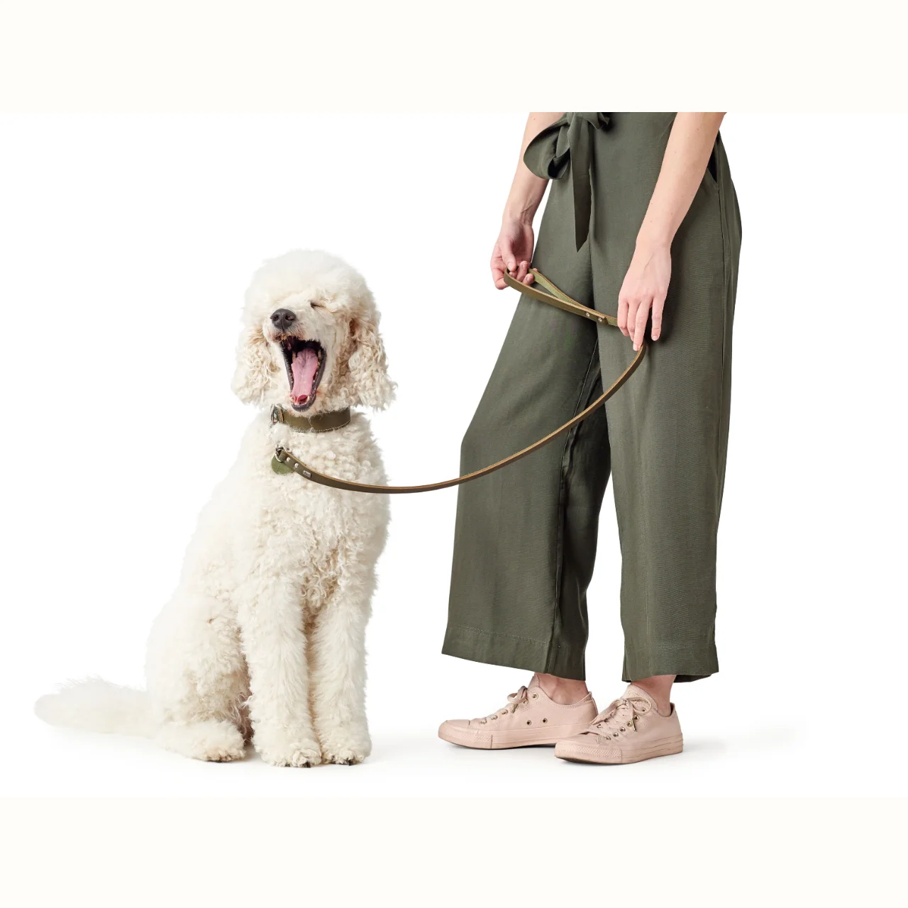Hunter Aalborg Sport Oliven 37 hundehalsbånd - 28-33 cm