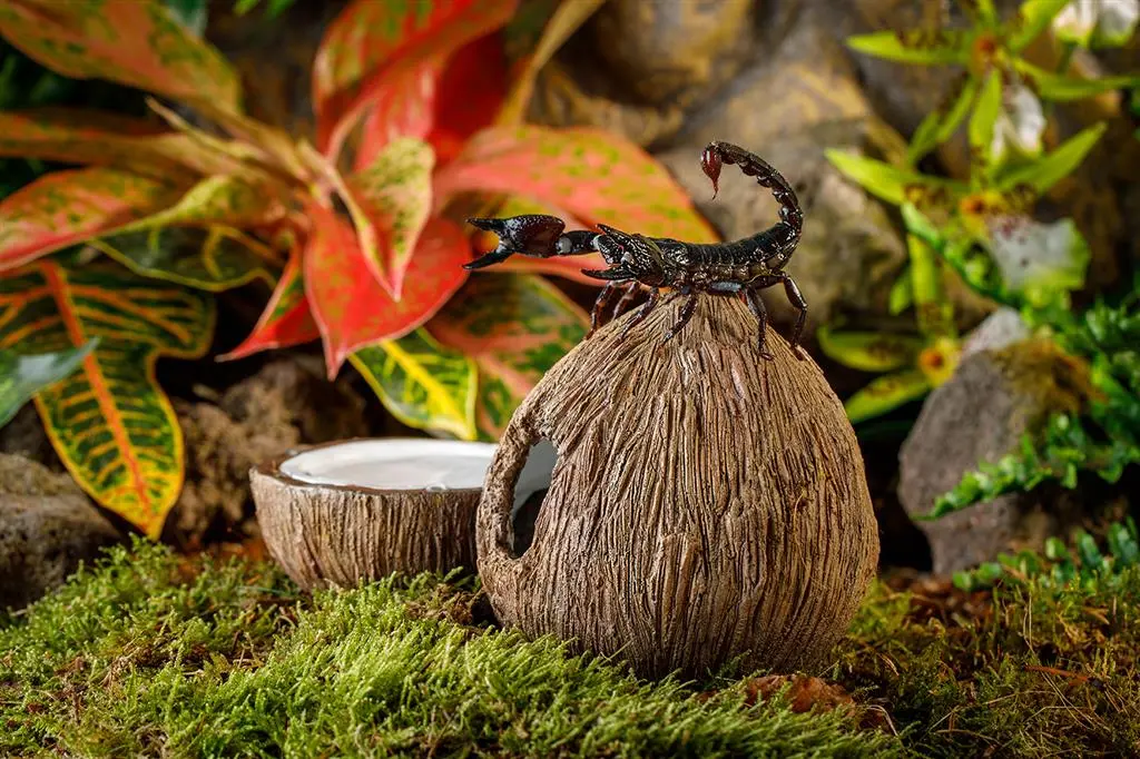 Exoterra Tiki Kokosnød Vandskål og hule 21x21x11 cm