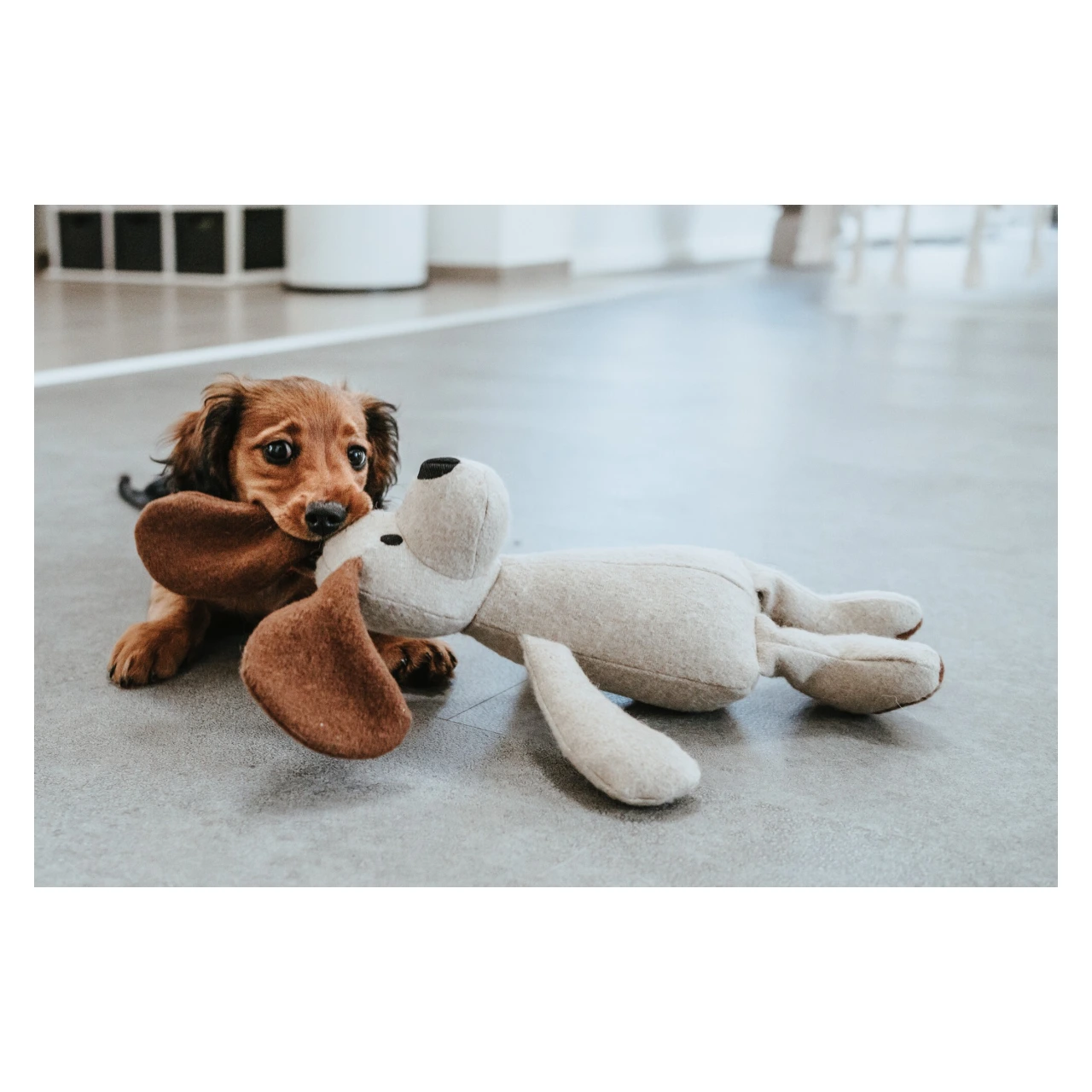 Hunter Marle Hund hundebamse uden pivelyd 35 cm