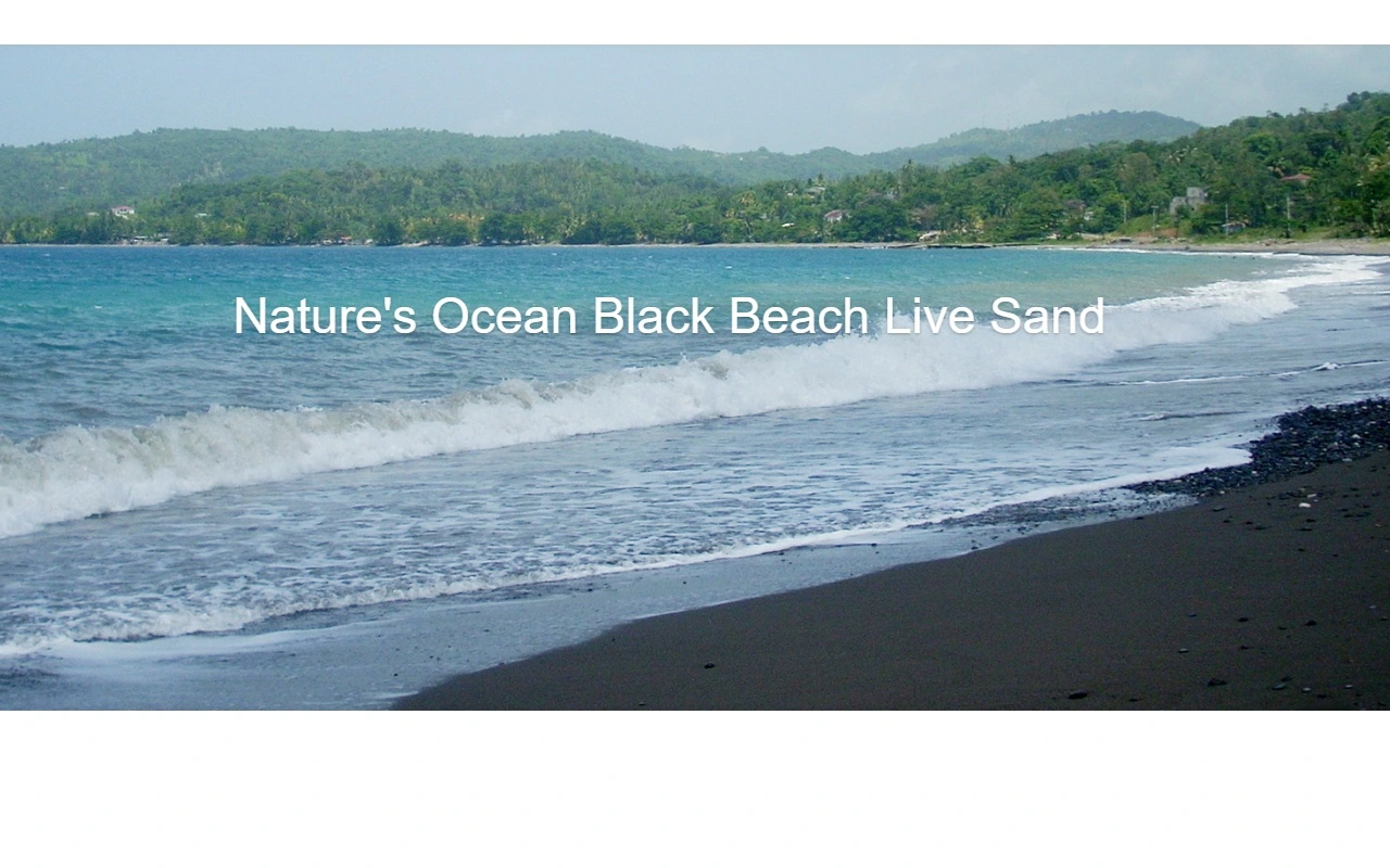 Natures Ocean Live Hawaii Black Beach Sand 9,07 kg 0,5-1,7 mm