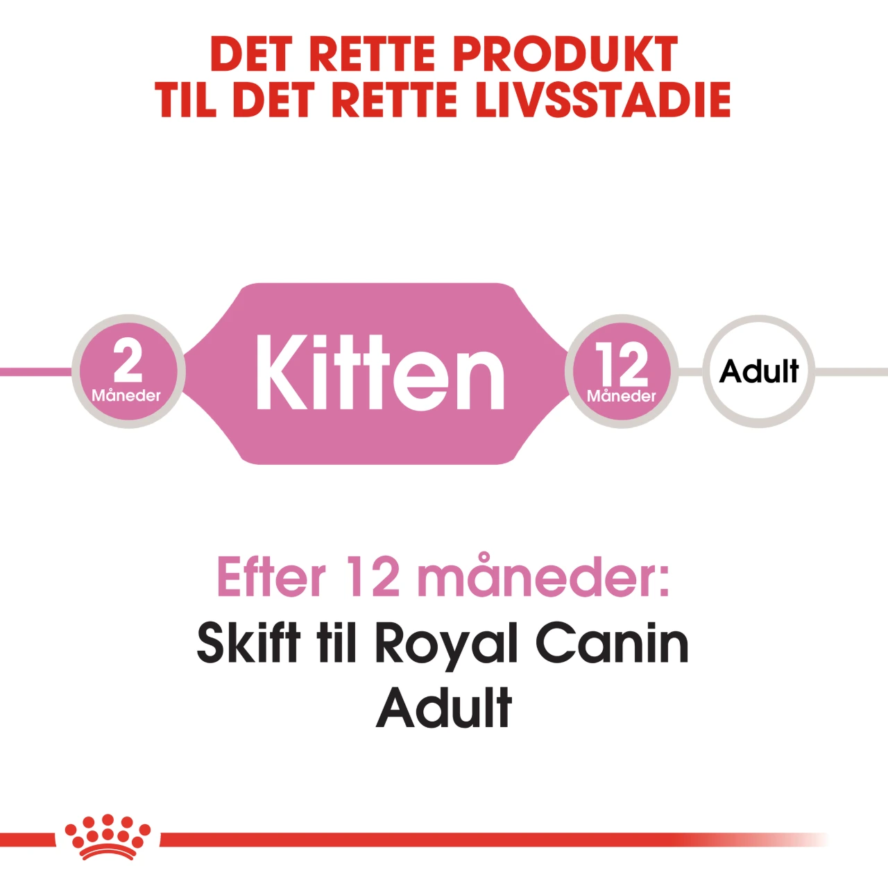 Royal Canin Second Age Kitten 400 g