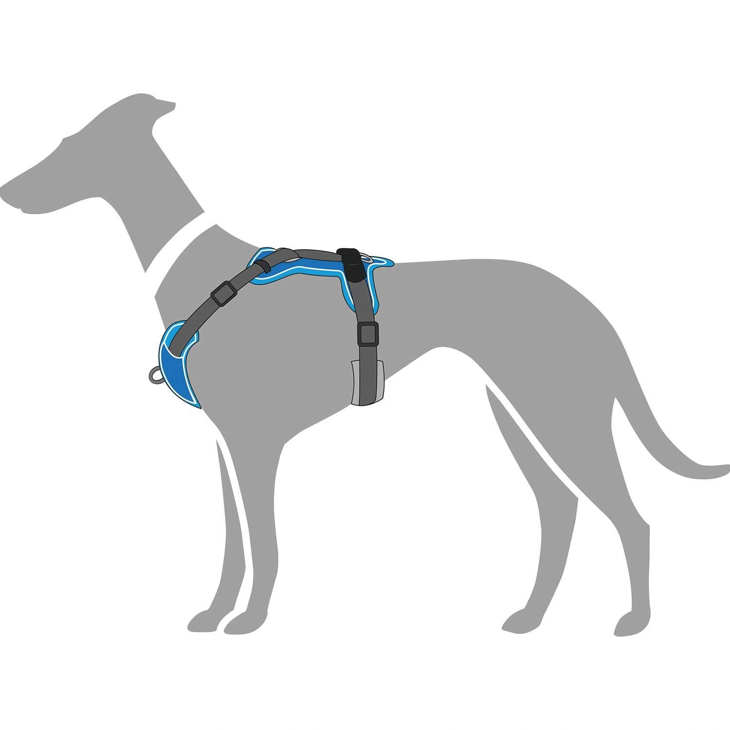 Hunter Divo hundesele L-XL lyseblå/grå just mave 79-107 cm - Sikker pasform og høj komfort