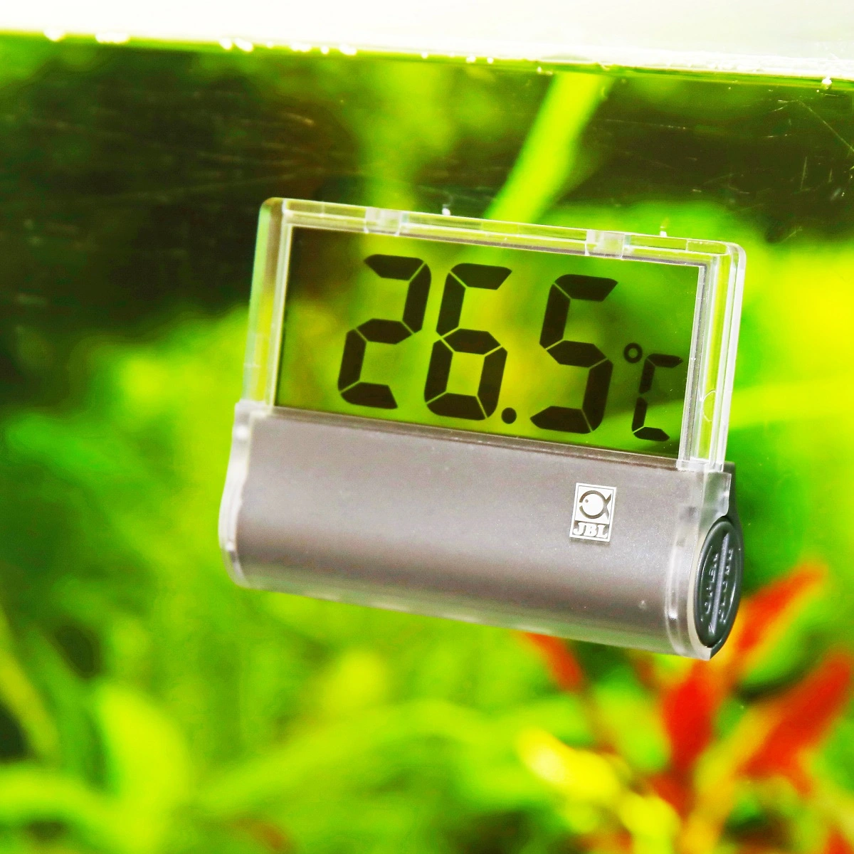 JBL Akvarium Termometer Digiscan