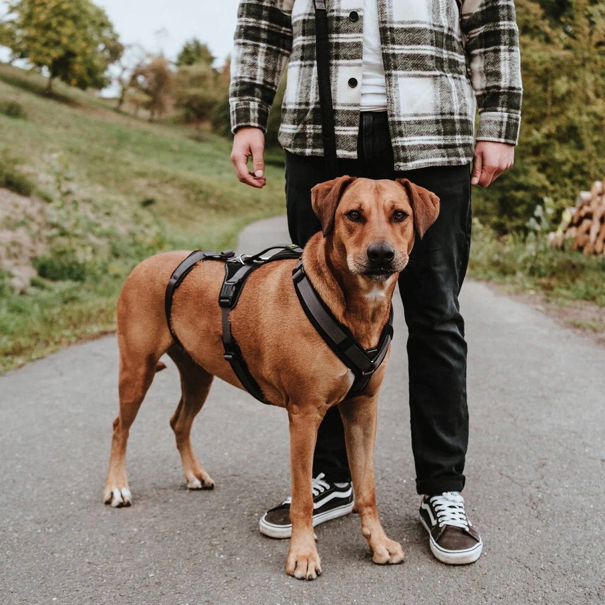 Hunter hundesele Safety Maldon Gråsort L længde 66-118 cm 2,5 cm - sikker stabilitet