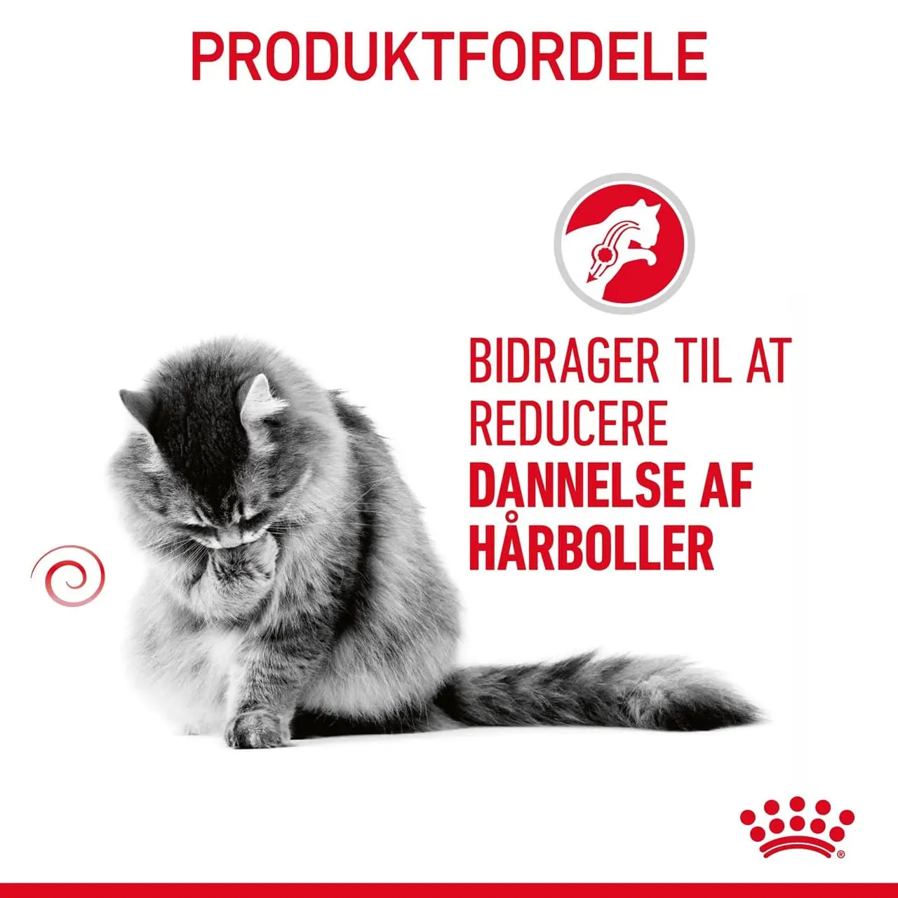 Royal Canin Hairball Care 4 kg