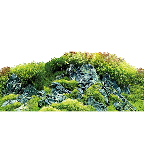 Baggrund til akvarium Scapers Hill og forest (30 cm høj) 60 cm