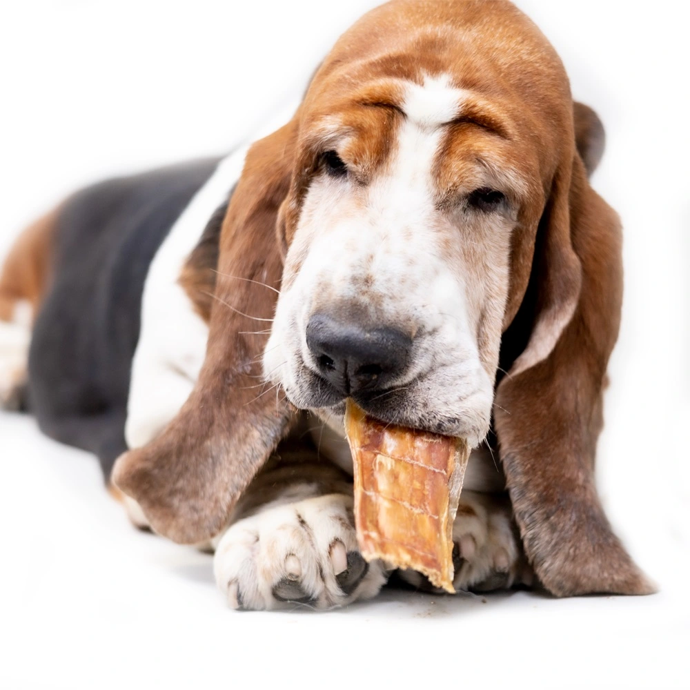 Snackit Valsede Spiserør Okse 200 g - Naturlige hundesnacks