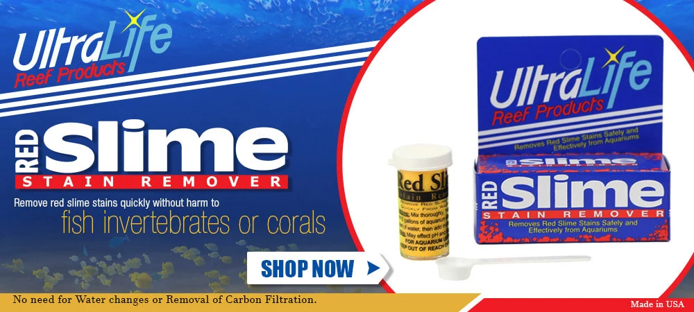 UltraLife Red Slime Remover af Cyanobakterier