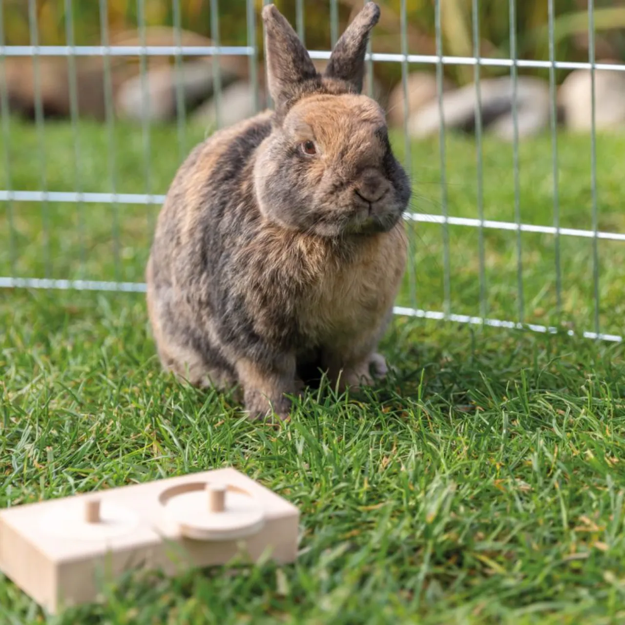 Trixie snack box i natur