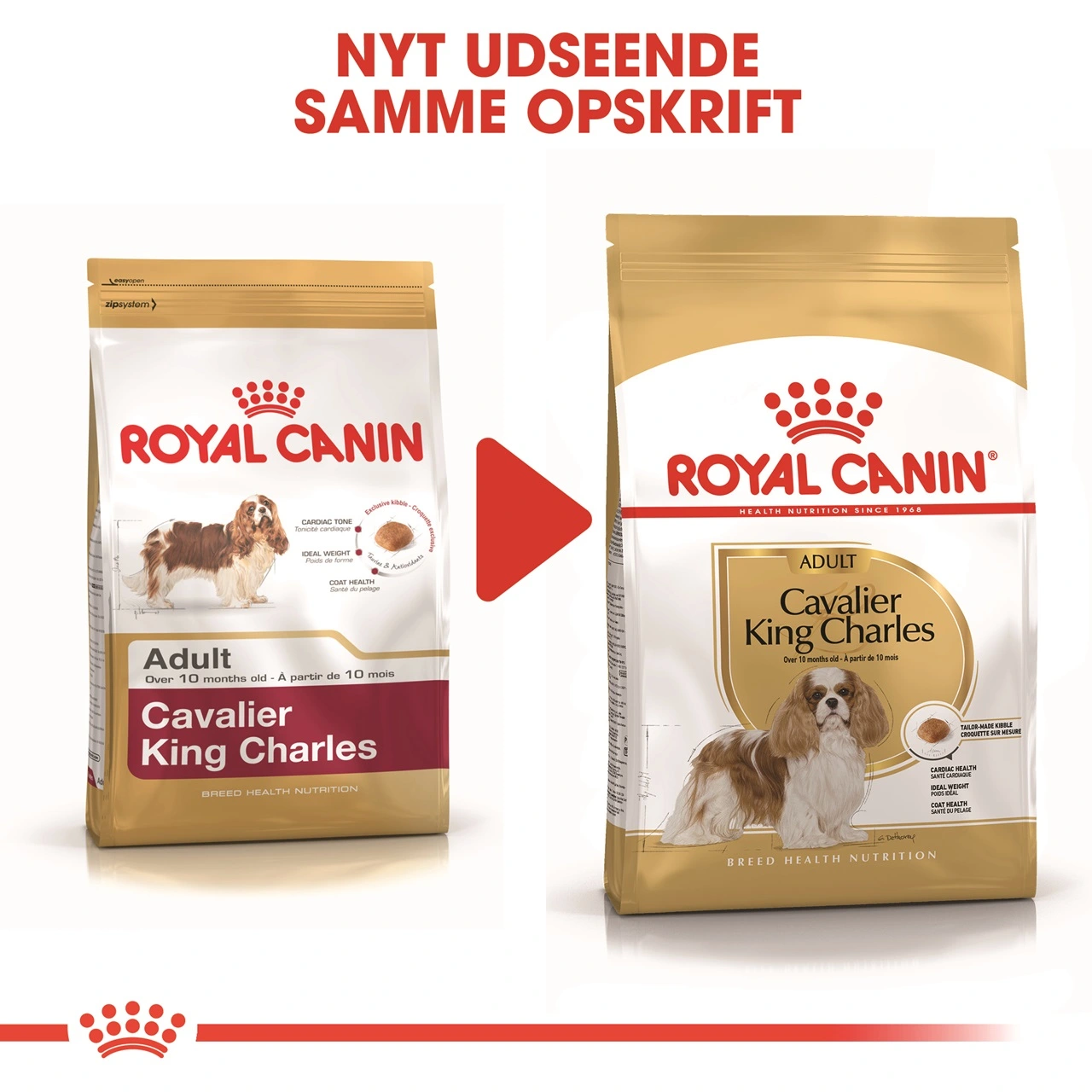 Royal Canin Cavalier King Charles Adult 1,5 kg - tørfoder til små hunde