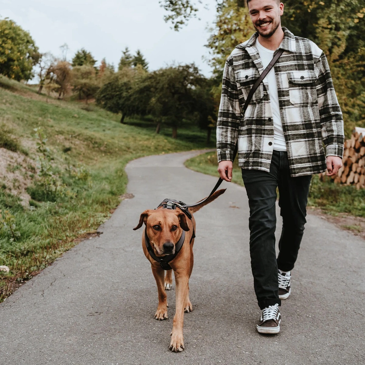 Hunter hundesele Safety Maldon Gråsort L længde 66-118 cm 2,5 cm - sikker stabilitet