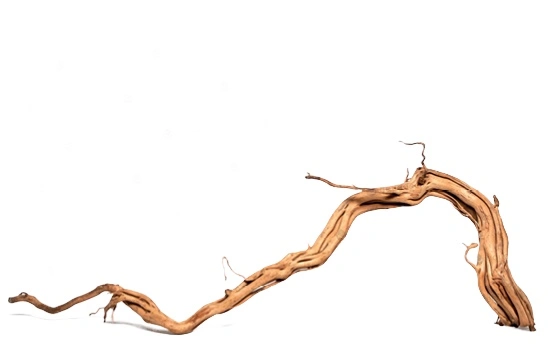 Curl Wood Krøllet træ Medium
