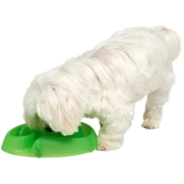 Buster dogmaze (Lime)