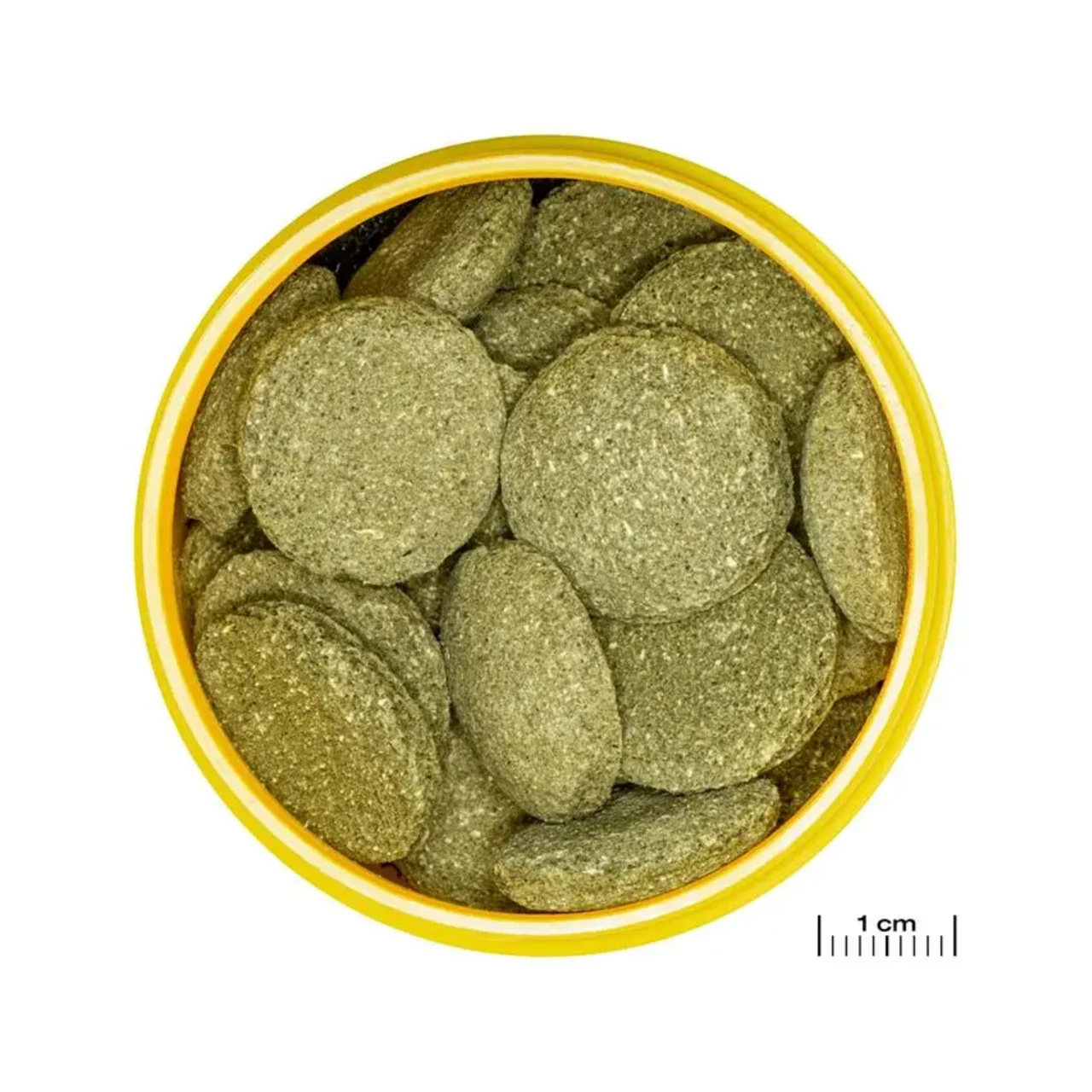 JBL ProNovo Pleco Wafer XL 250 ml