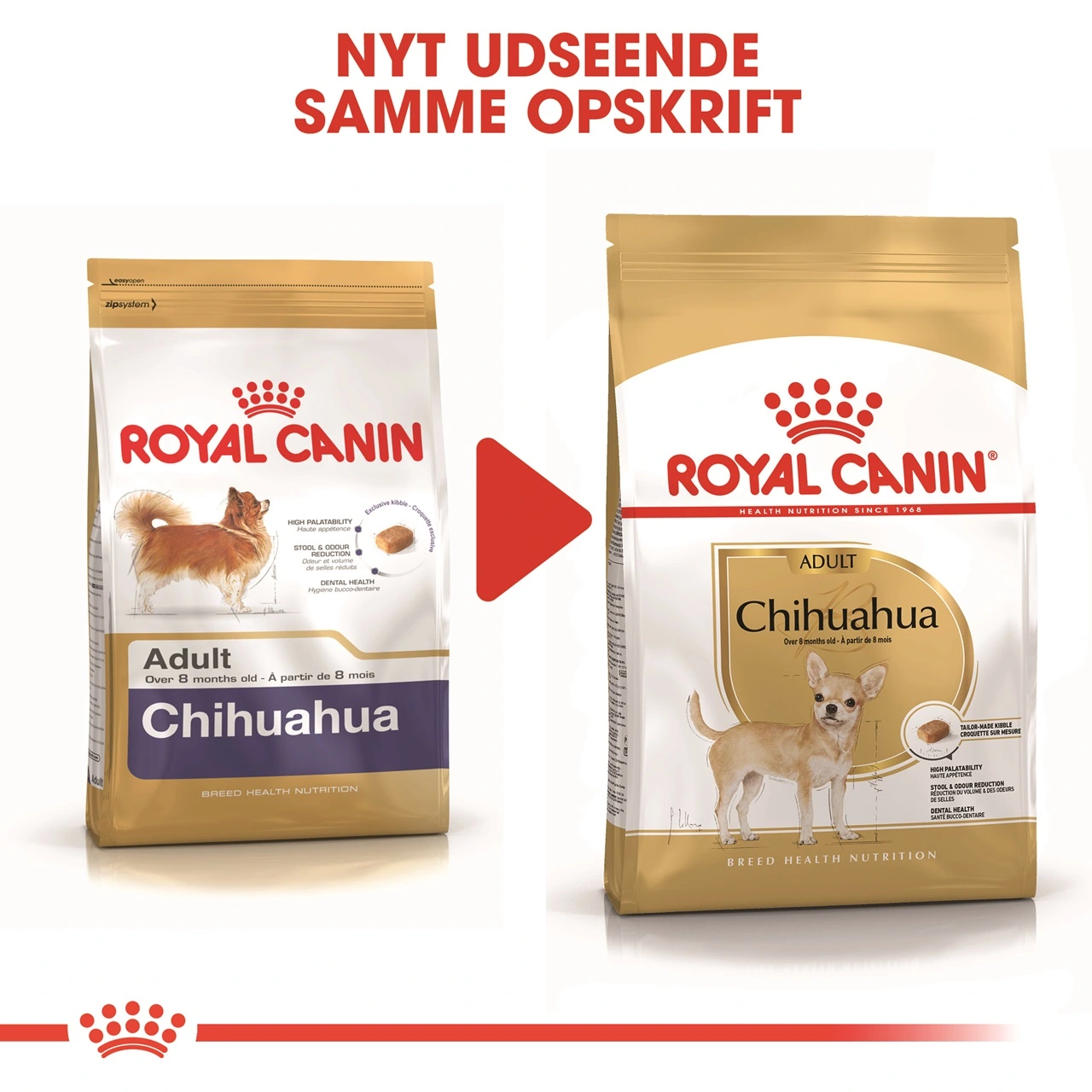 Royal Canin Chihuahua Adult 3 kg - tørfoder til små hunde
