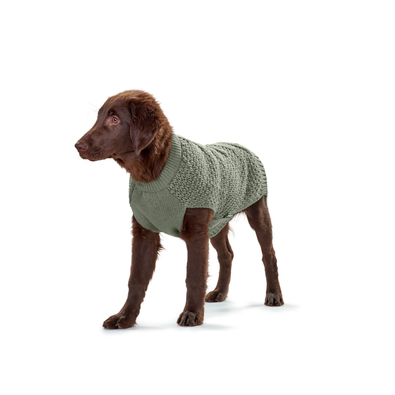 Hunter Malmø hundesweater Khaki str 30 - varm og blød komfort