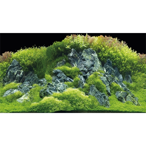 Akvariebaggrund Beplantet flod / Grønne klipper (30 cm høj) 60 cm
