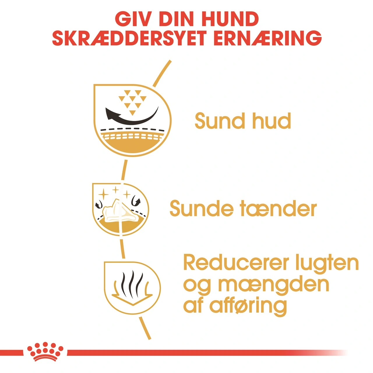 Royal Canin Shih Tzu Adult 1,5 kg - tørfoder til små hunde