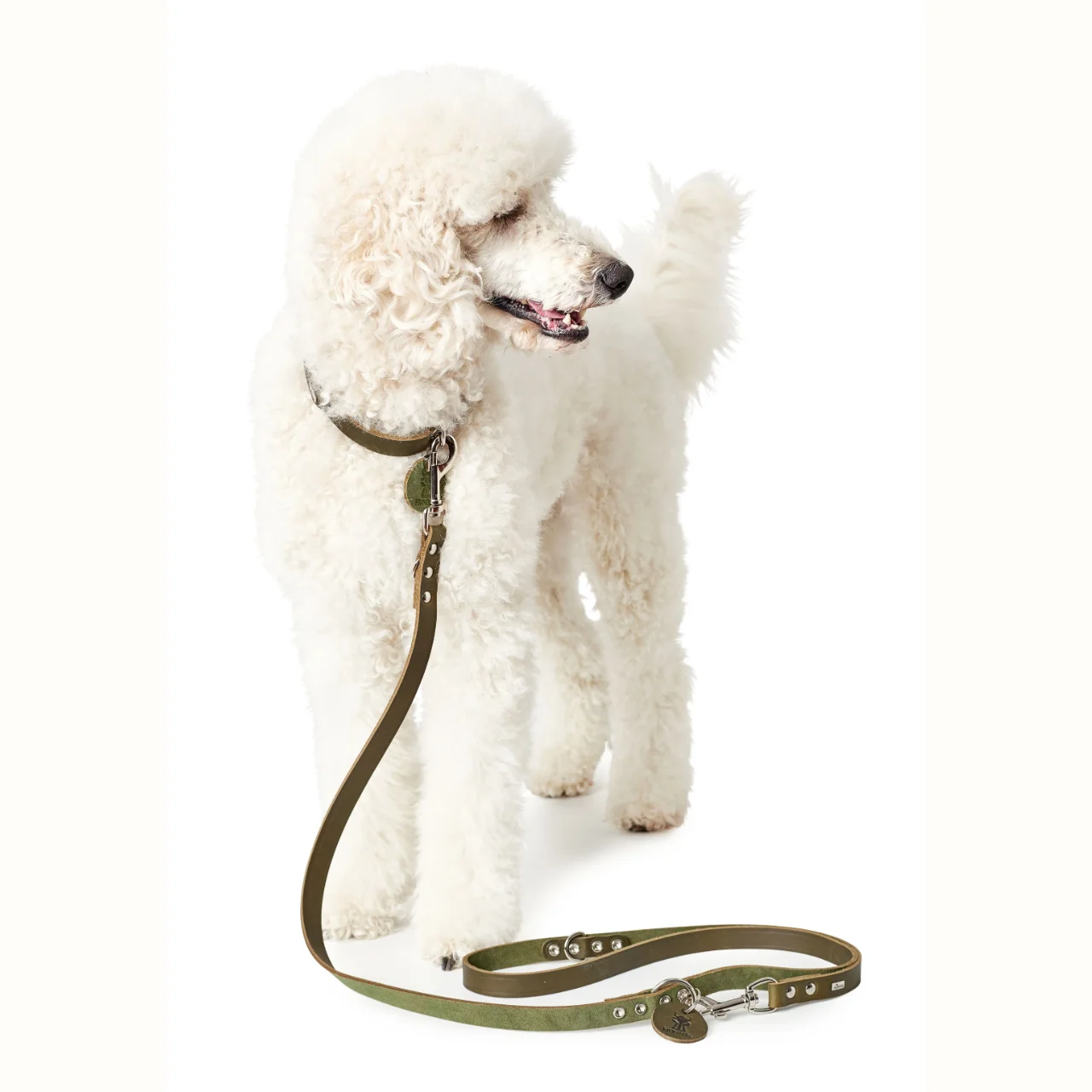 Hunter Aalborg Sport Oliven 37 hundehalsbånd - 28-33 cm