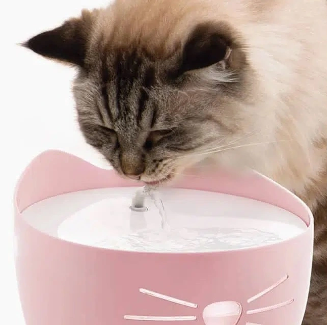 Catit Pixi Drikkefontæne i Pink