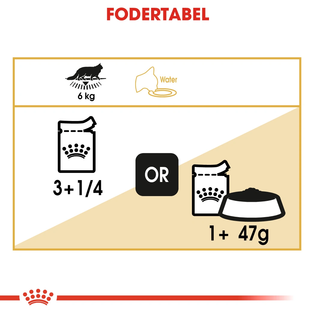 Royal Canin Maine coon Sovs - vådfoder 85 g