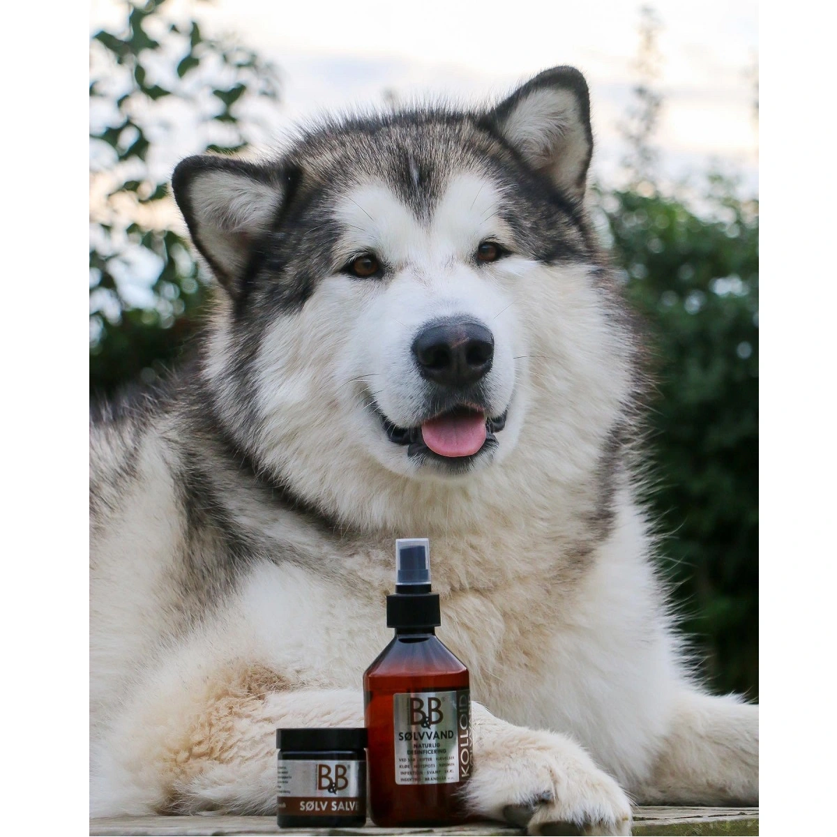 B&B Sølvvand 250 ml