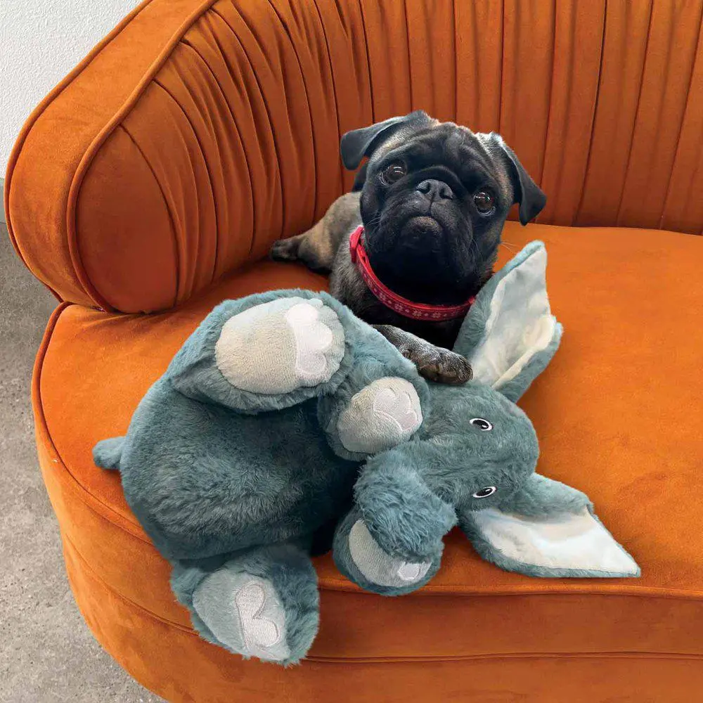 Kong Comfort Kiddos Jumbo Elephant XL - kæmpe elefant bamse til store hunde
