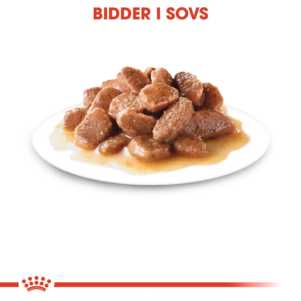 Royal Canin Ageing +12 Sovs - vådfoder 85 g