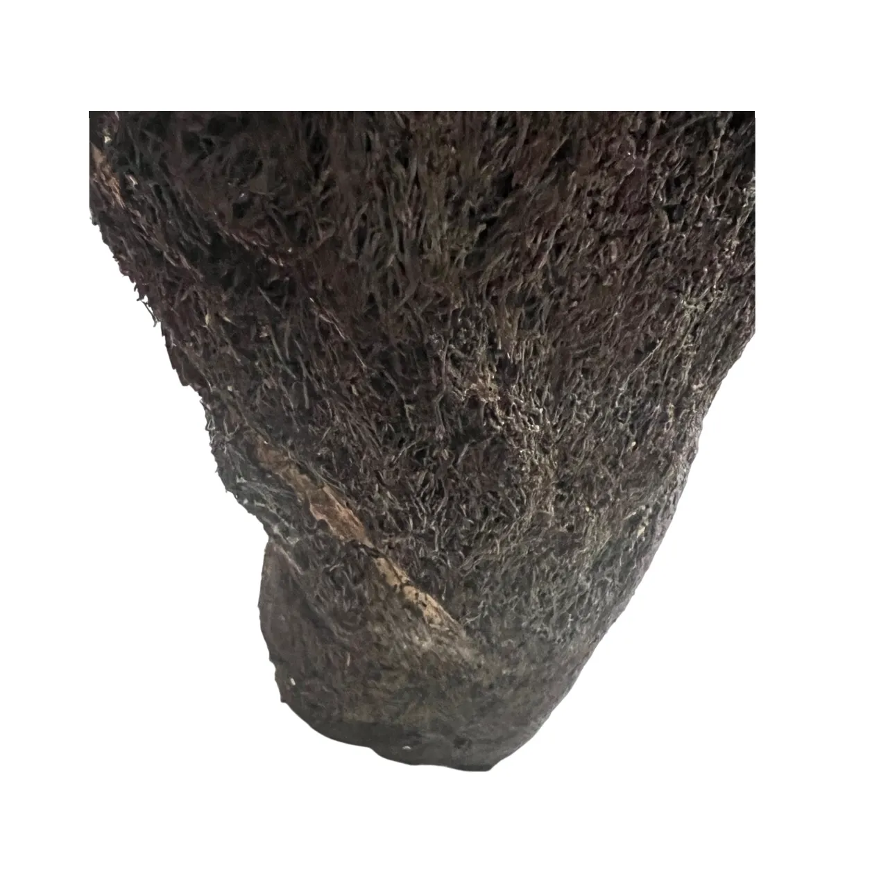 MiniZoo.dk Xaxim Træstamme Ø 30-40 cm XXL ca 1 meter