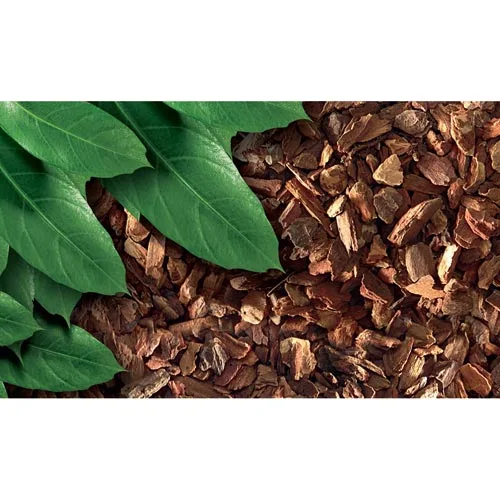 Exo Terra Forest Bark 8,8 liter