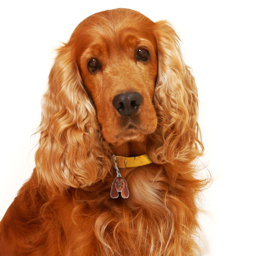 My Family Hundetegn Friends Cockerspaniel Rød