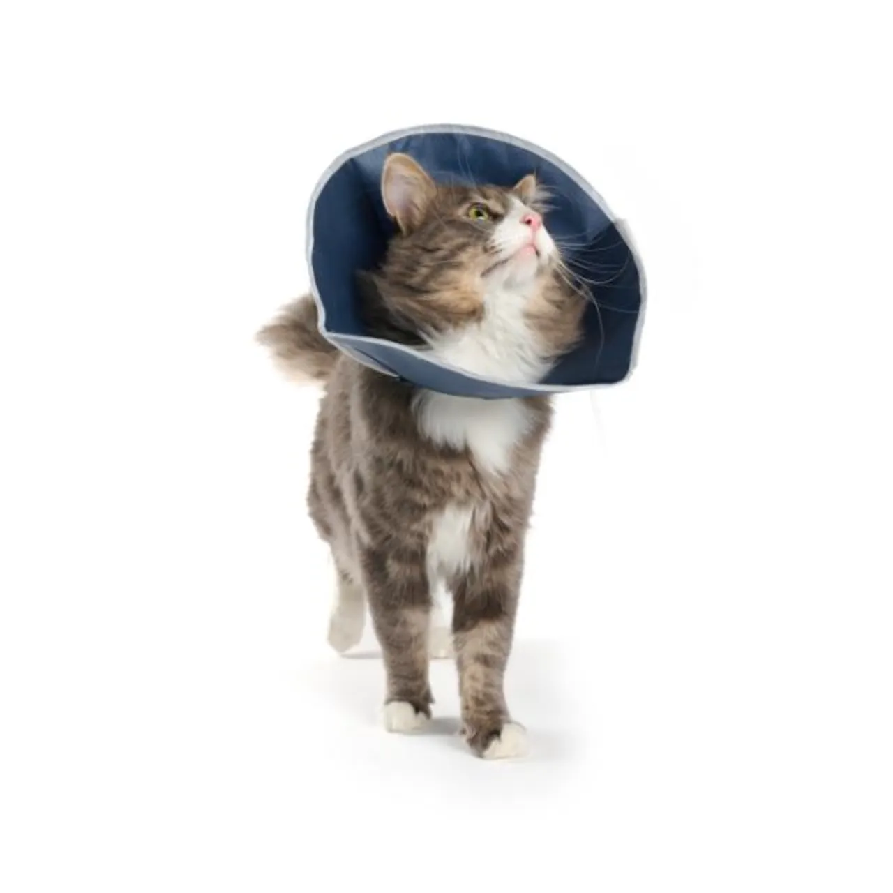 BUSTER stof halskrave 31 cm til katte og små hunde