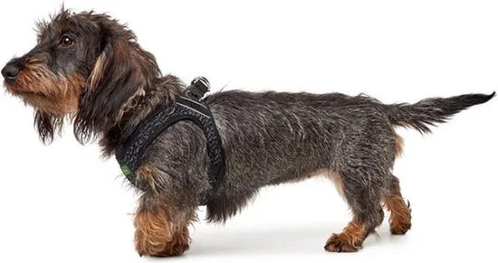 Hunter Hundesele Hilo Soft Comfort i grå XXS-XS
