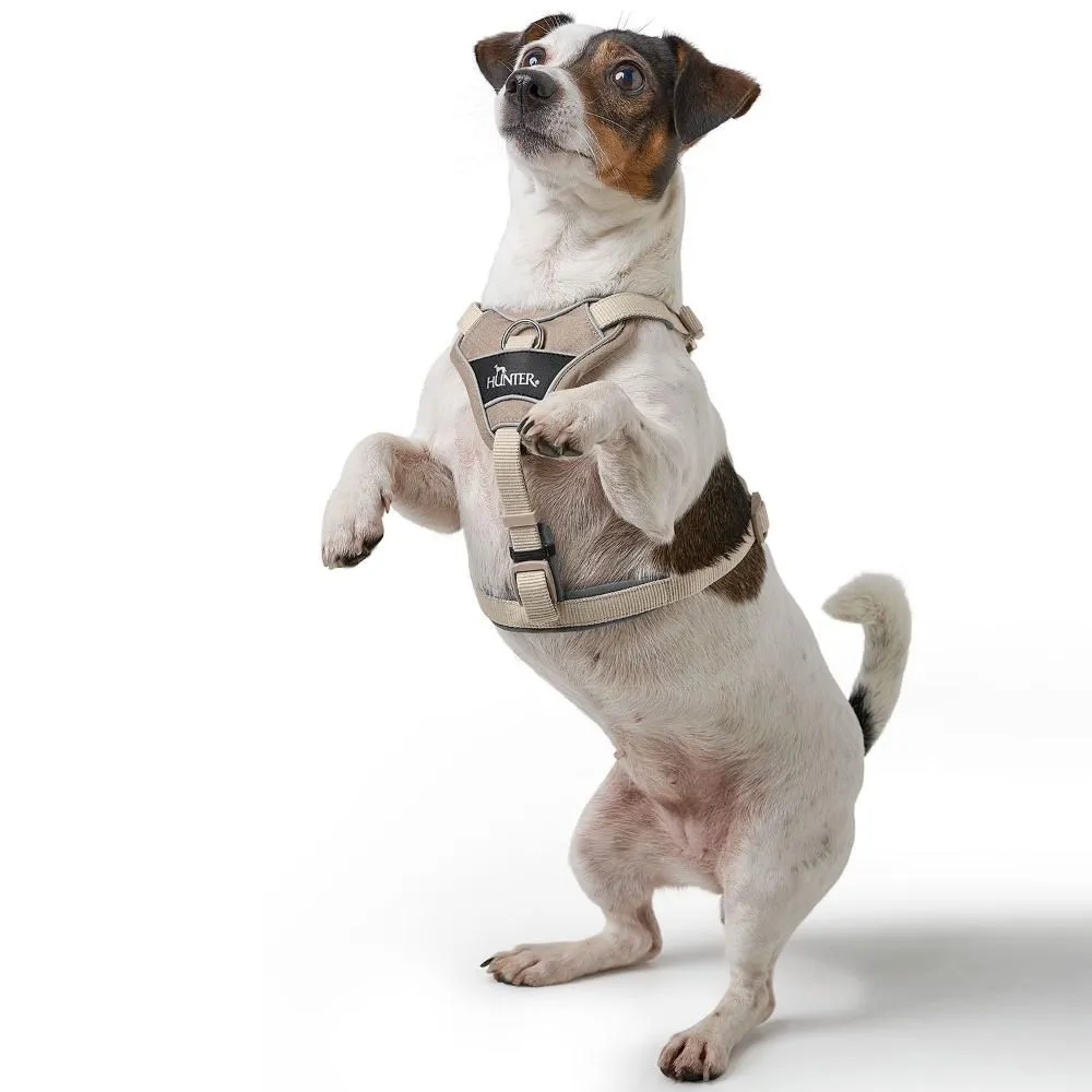 Hunter Divo Up hundesele XS beige just mave 34-47 cm - Nem påtagning og ergonomisk komfort