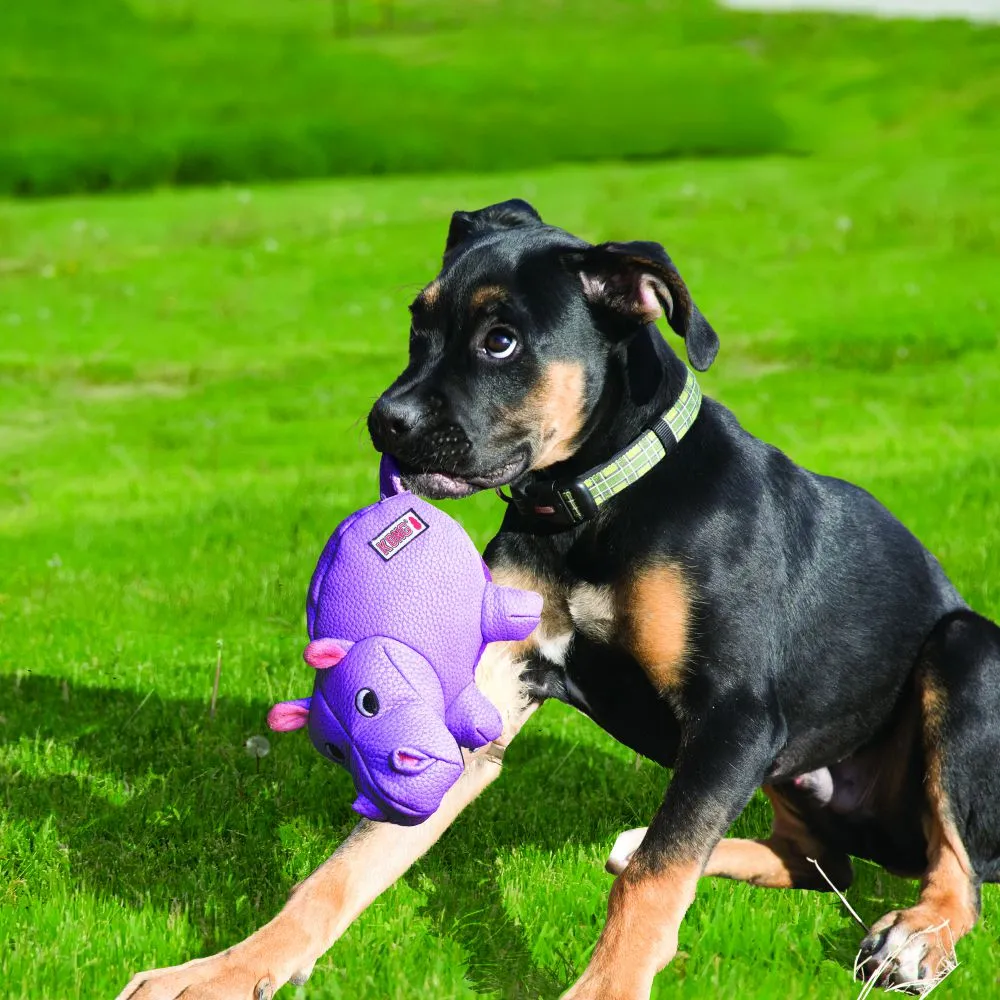KONG Phatz Flodhest Medium - robust bamse hundelegetøj