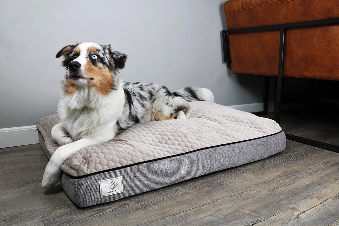 D&D Home Celia hundeseng Taupe stor 120x90x15 cm