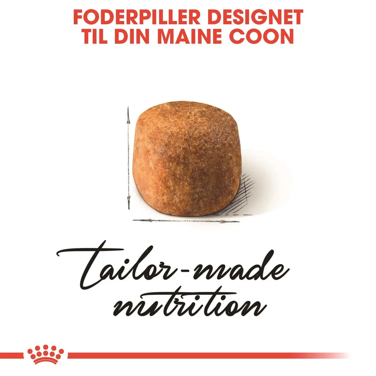 Royal Canin Maine Coon 10 kg