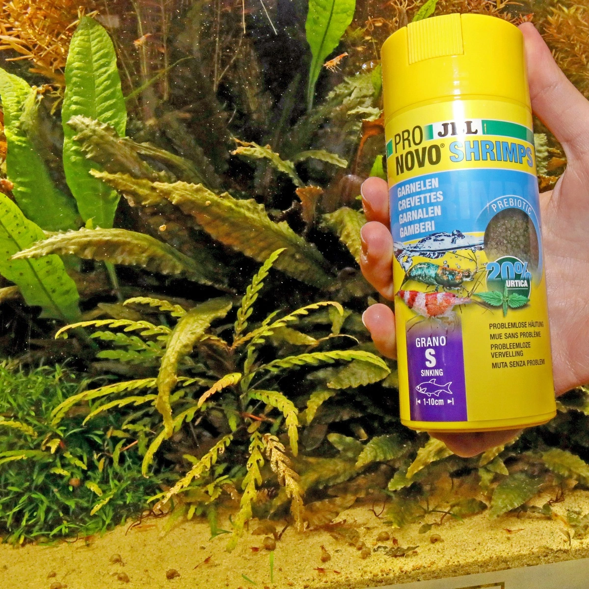 JBL ProNovo Shrimps Grano S Click 250 ml