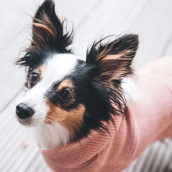 Hunter Röglatrøje 30 Rosa